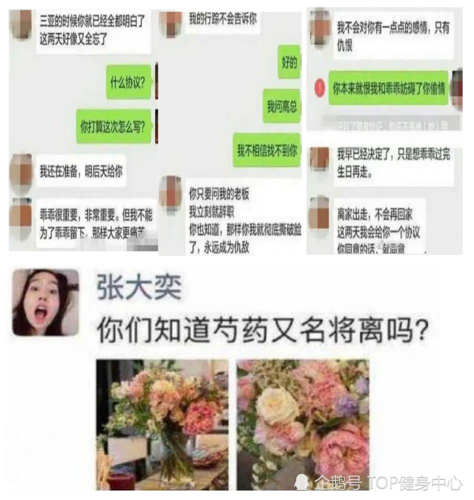 蒋凡老婆董杨个人资料嫁人前干什么的？董杨蒋凡聊天记录离婚了吗